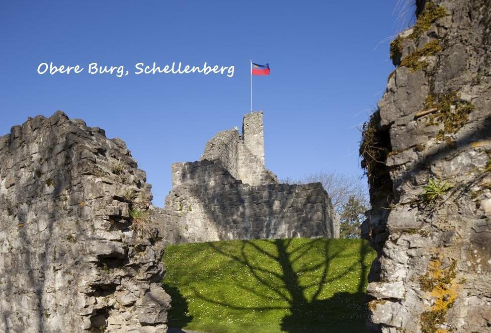 Bed And Breakfast Krone Schellenberg Exterior foto
